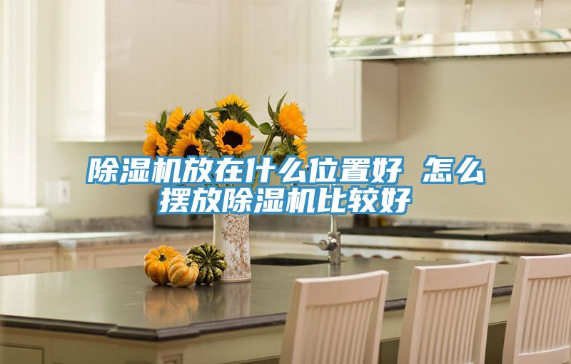 小黄片软件免费下载放在什麽位置好 怎麽擺放小黄片软件免费下载比較好