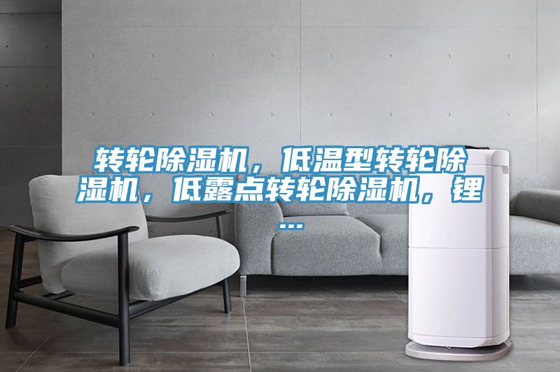 轉輪小黄片软件免费下载，低溫型轉輪小黄片软件免费下载，低露點轉輪小黄片软件免费下载，鋰 ...