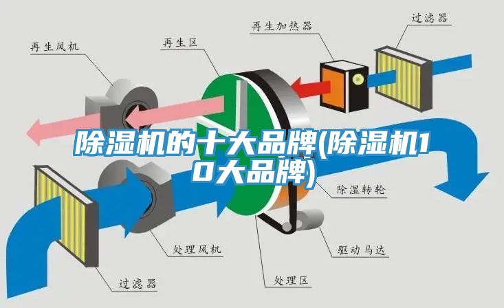 小黄片软件免费下载的十大品牌(小黄片软件免费下载10大品牌)