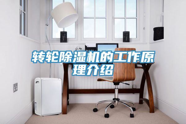 轉輪小黄片软件免费下载的工作原理介紹