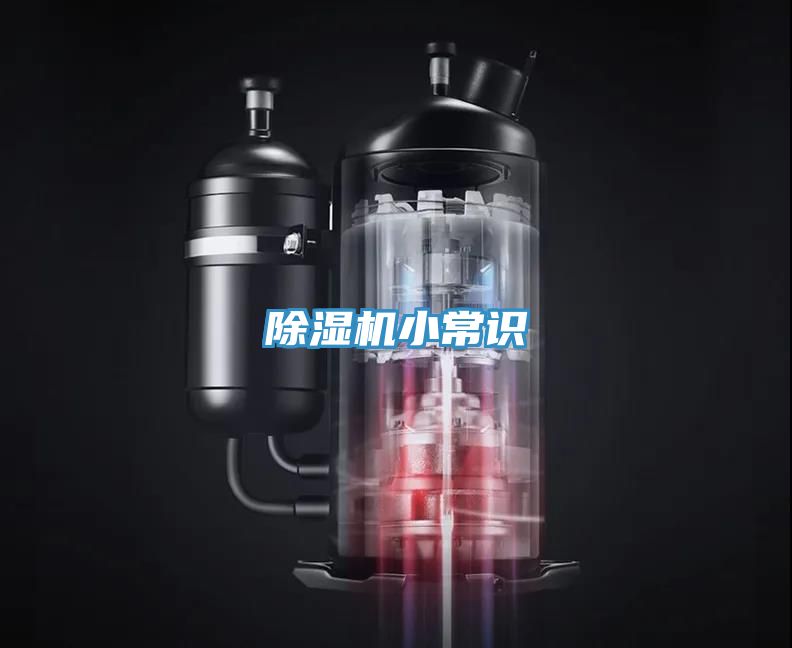 小黄片软件免费下载小常識