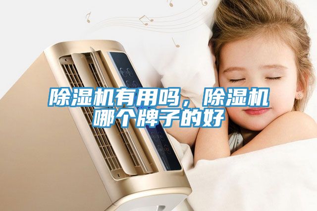 小黄片软件免费下载有用嗎，小黄片软件免费下载哪個牌子的好