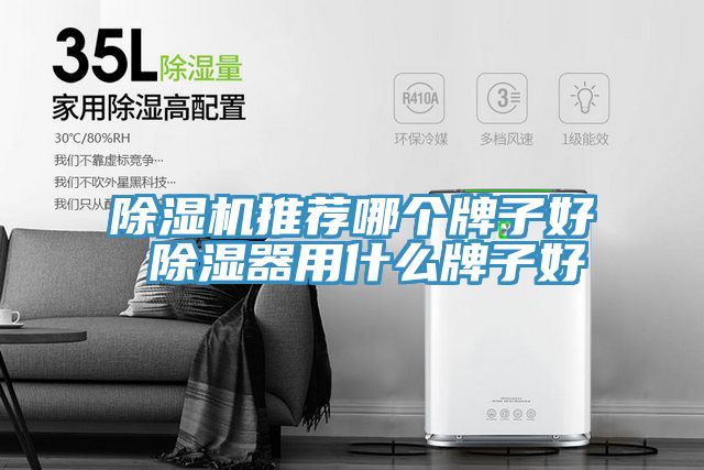 小黄片软件免费下载推薦哪個牌子好 除濕器用什麽牌子好