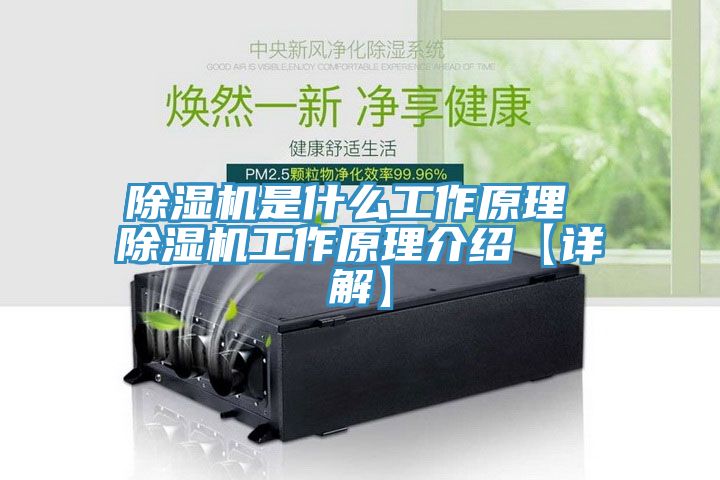 小黄片软件免费下载是什麽工作原理 小黄片软件免费下载工作原理介紹【詳解】