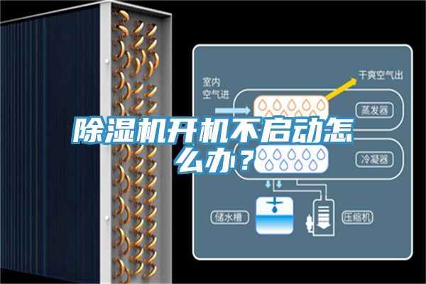 小黄片软件免费下载開機不啟動怎麽辦？