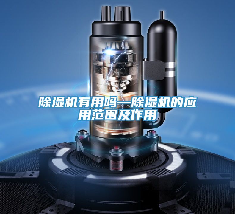 小黄片软件免费下载有用嗎—小黄片软件免费下载的應用範圍及作用