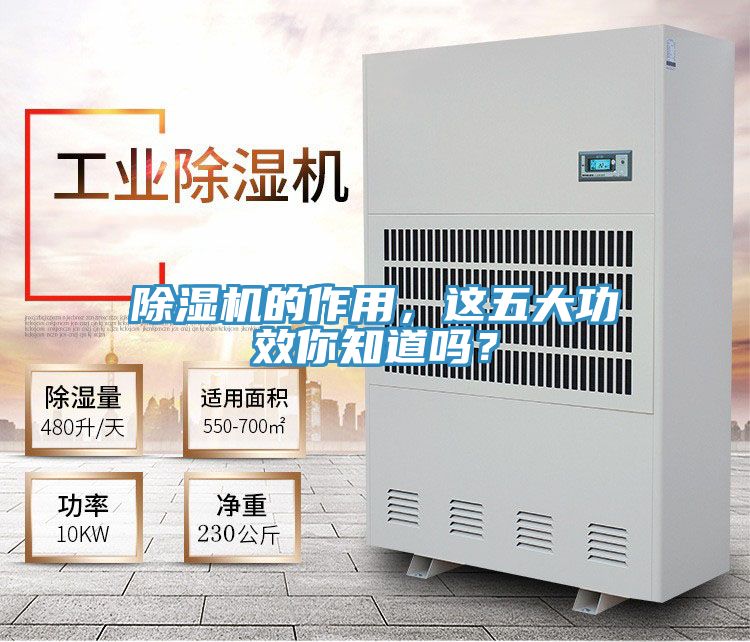 小黄片软件免费下载的作用，這五大功效你知道嗎？