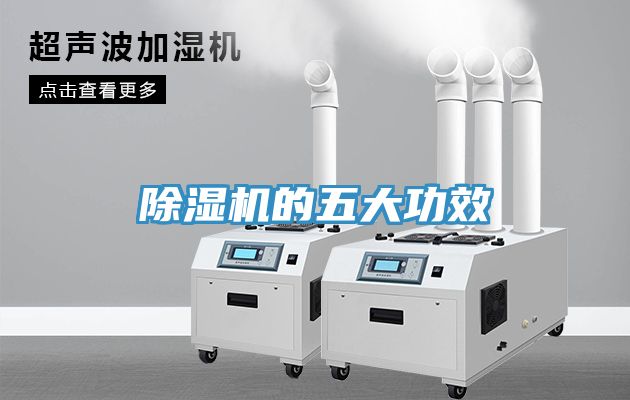 小黄片软件免费下载的五大功效