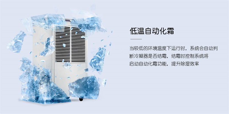 商用小黄片软件免费下载6